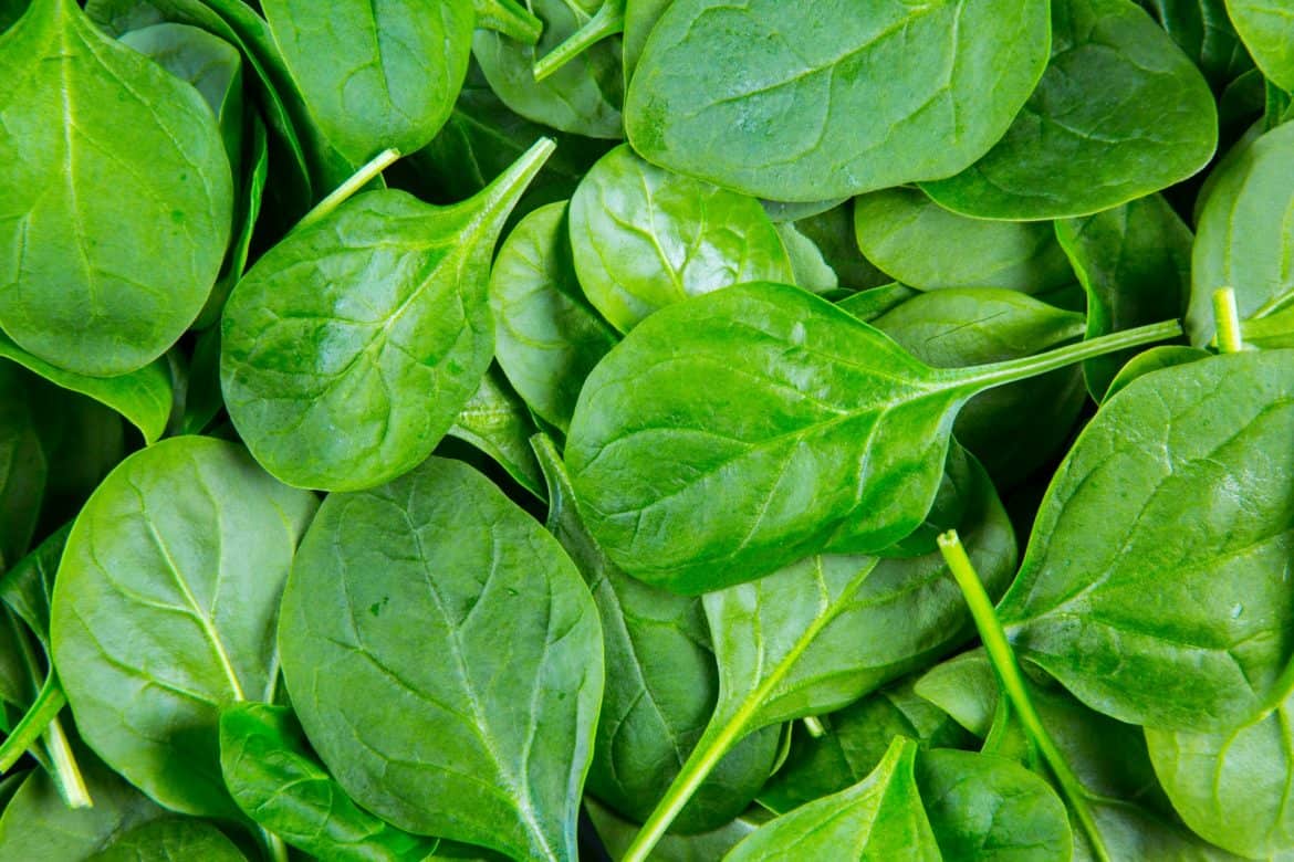 Spinach, True, France 250g Marshford Organic Foods
