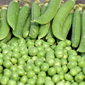  Beans & Peas 