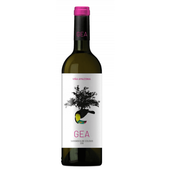 sauvignon blanc